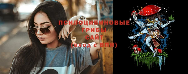 PSILOCYBIN Нягань