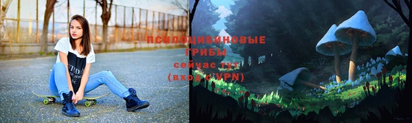 PSILOCYBIN Нягань