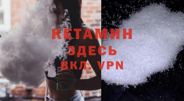сатива Няндома