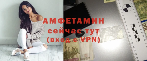 сатива Няндома