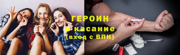 сатива Няндома