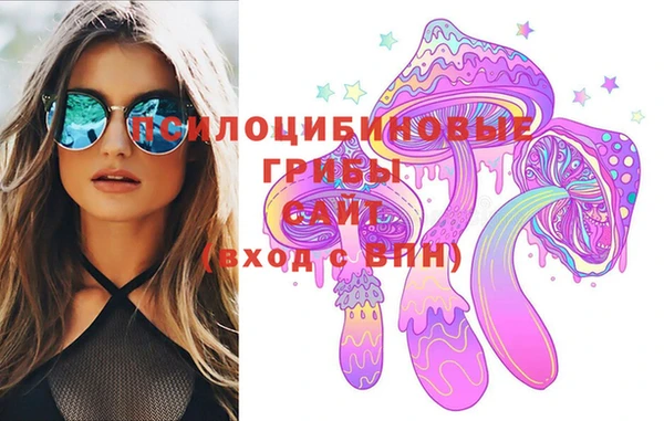 PSILOCYBIN Нягань