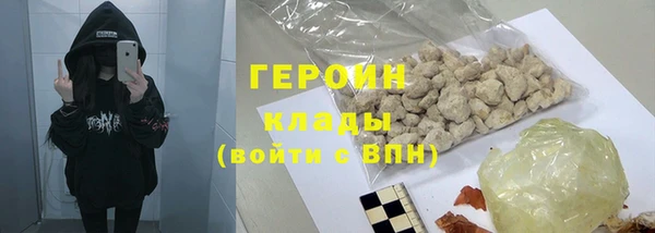 сатива Няндома