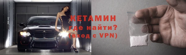 сатива Няндома