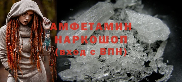 сатива Няндома
