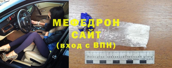 сатива Няндома