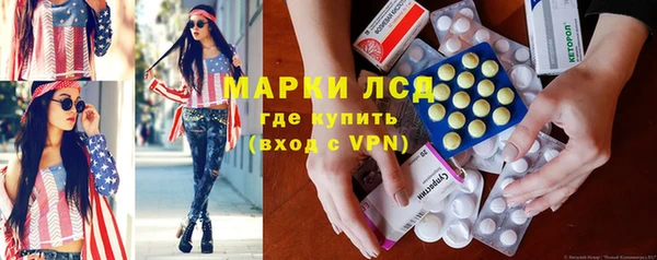 сатива Няндома