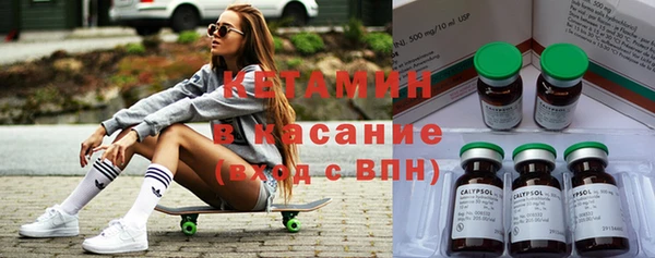 сатива Няндома