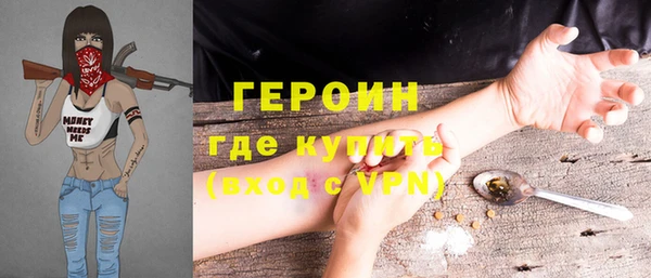 сатива Няндома