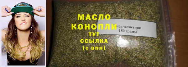 сатива Няндома