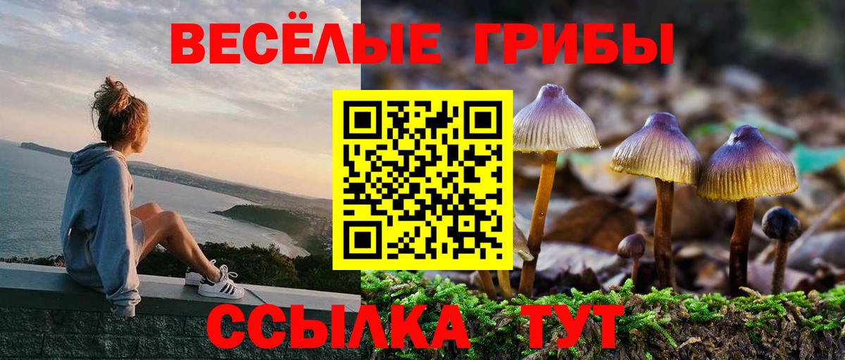 Галлюциногенные грибы MAGIC MUSHROOMS Саратов